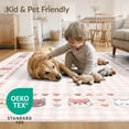 thumbnail image 4 of ODIKA 4'x6' Washable Area Rug Stain Resistant, Low Pile, Easy Care Pink Mini Plaid Throw Motifs Feline Inspired Tapete Rosa Dorm for Room, Small Living, 4 of 7