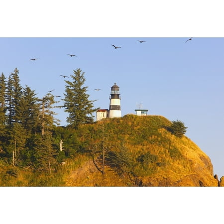 Birds In Flight Over Cape Disappointment Lighthouse Ilwaco Washington United States of America Canvas Art - Craig Tuttle  Design Pics (19 x