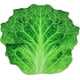 thumbnail image 1 of Flannel Fleece Blanket 3D Food Wrap Blanket Round Wrap Blanket Throw Blanket,Funny Realistic Food Round Blanket,70" Inch Lettuce, 1 of 4