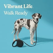 Vibrant Life 13' Reflective Retractable Tape Leash, Black, XS-S