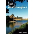 thumbnail image 1 of Pre-Owned Two Sloughs (Paperback) 0595528775 9780595528776, 1 of 1