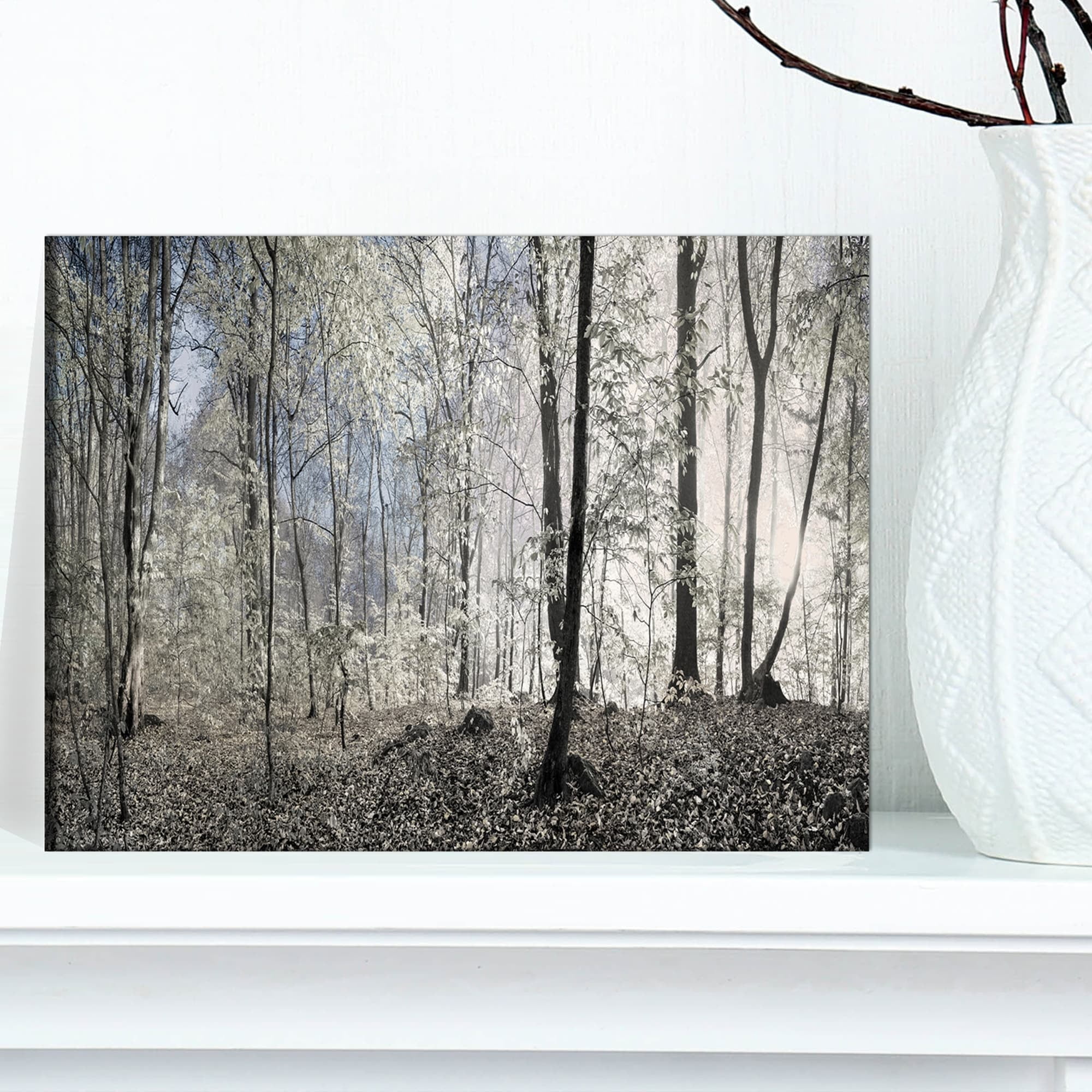 Photo Painting Digital Dark Forest Lights Gift 12X16 Inch Framed Art Print