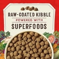 thumbnail image 2 of SuperBlends Raw Coated Wholesome Grains Wild-Caught Whitefish & Salmon Recipe with Superfoods Dry Dog Food 21 lbs., 2 of 2