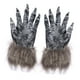 thumbnail image 2 of Guantes de de Halloween Disfraz de hombre Regalo Uñas largas Manos Garra para accesorios, Cosplay, Carnaval,, 2 of 8