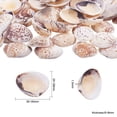 thumbnail image 3 of Caja de Aproximadamente 50 Piezas BLESIY variados marinas Con Orificios para joyas, 3 of 8