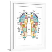 Art.com Reflexology Foot Map, Artwork Photographic Print by Peter Gardiner, White Frame Wall Art, 32" x 40"