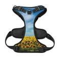 thumbnail image 5 of Lsque Blooming Sunflower Field Dog Harness, No-Pull Pet Harness with 2 Leash Clips, Adjustable Soft Padded Dog Vest with Easy Control Handle for Large Dogs-, 5 of 9