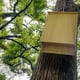 thumbnail image 3 of Refugio para murciélagos, caja grande, de madera, resistente a la intemperie, fácil de aterrizar y posarse. dos cámaras, 3 of 8