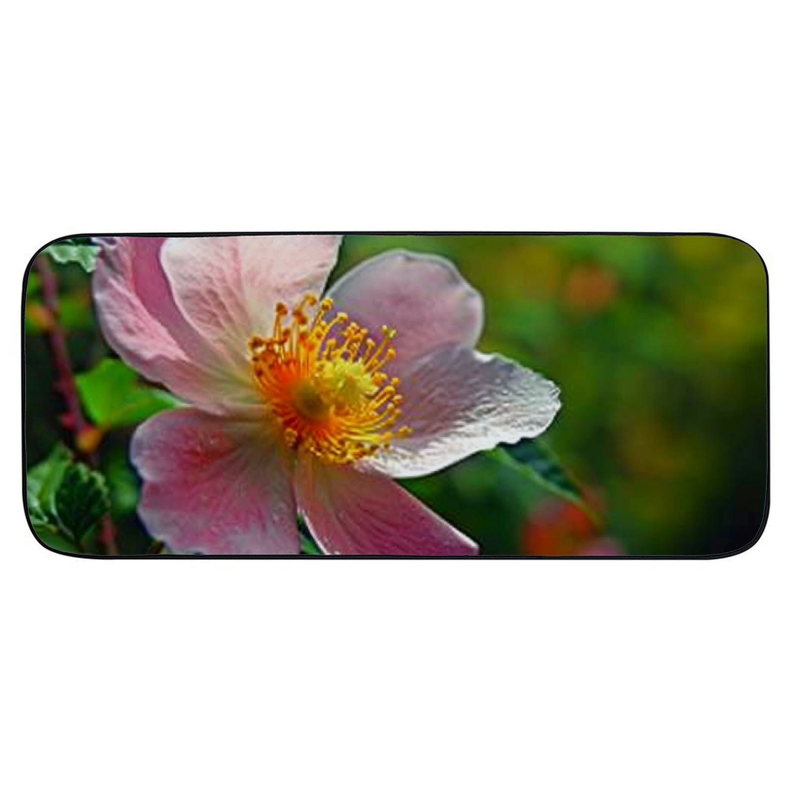 Heduofu Decorative Door Mat, Door Mat with Non-Slip Rubber Backing, Easy Cleaning, Traps Dirt, Rug for Entry, Patio, Garage  - Flower Rose Nature Plant Garden Leaf Summer 19.68*47.24 in