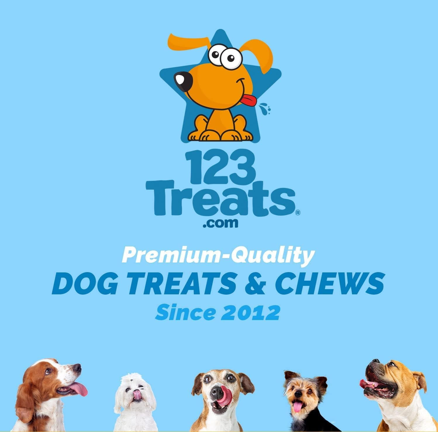 Rawhide Treat Bones | 2-3" | Dog Chews | By 123 Treats (50 Count)