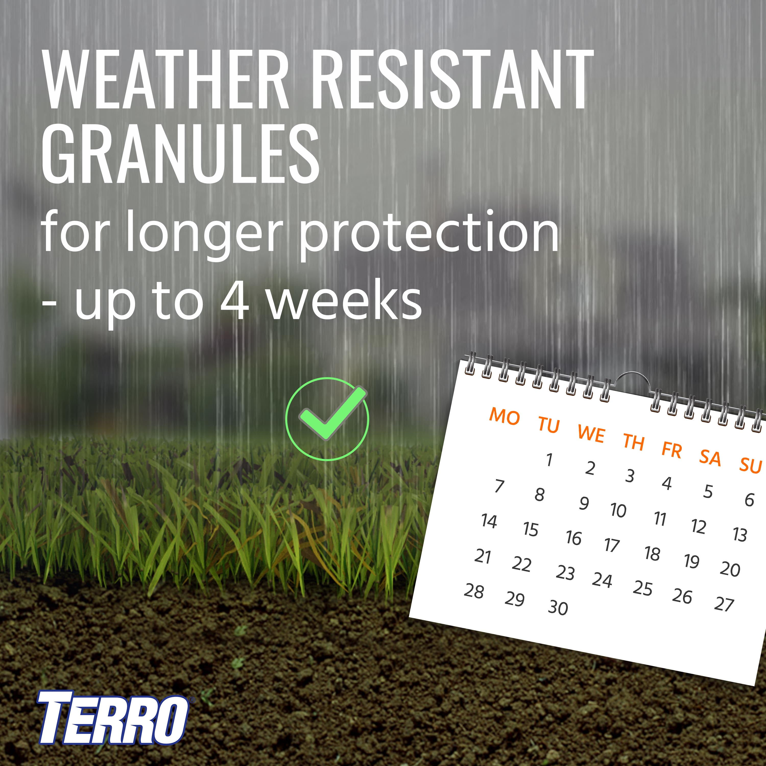 TERRO Perimeter Ant Bait Plus - 2 LB