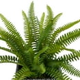 thumbnail image 4 of Northlight 20" Boston Fern Artificial Plant in Weathered Square Planter - Green/Gray, 4 of 6