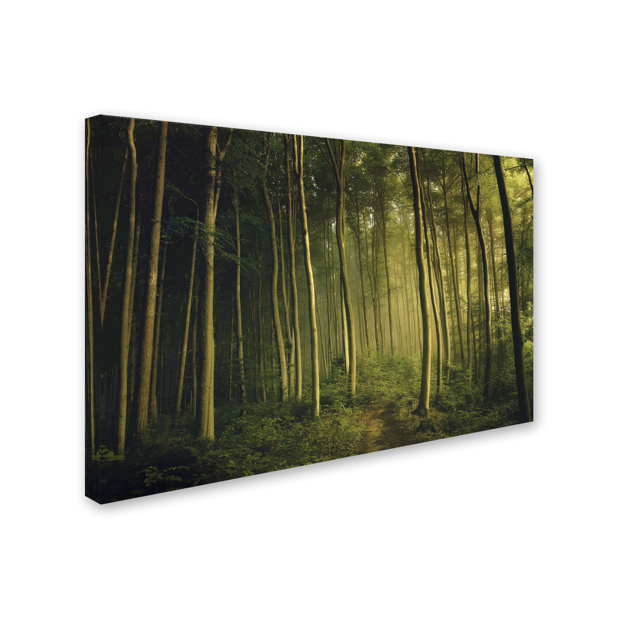 Norbert Maier 'On My Own' Canvas Art