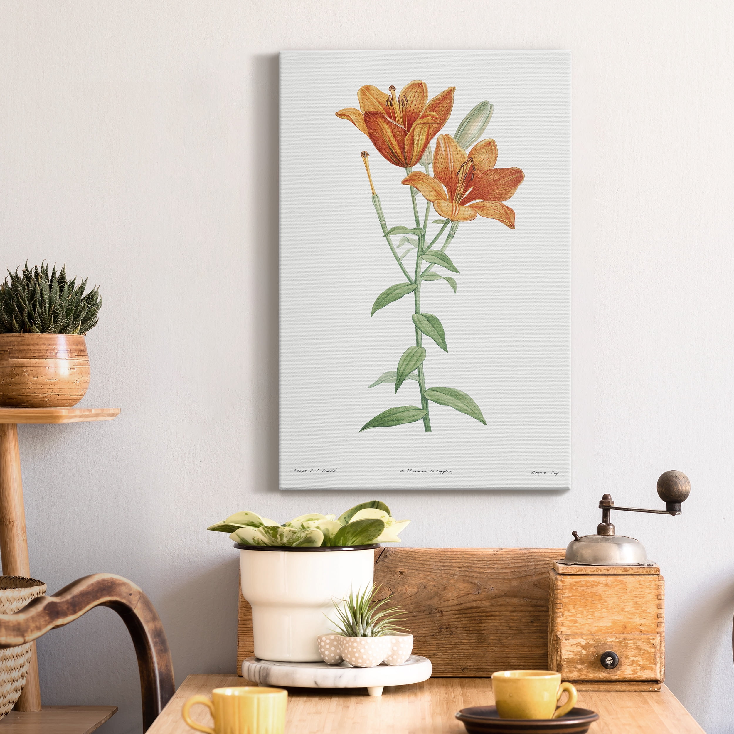 Orange Bulbous Lily Premium Gallery Wrapped Canvas - Ready to Hang - 24 x 36