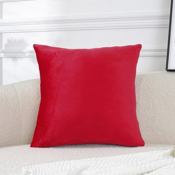 Dtwnek Decorative Throw Pillow Cover Velvet Pillow Case Square Pillowcase for Couch Bedroom Living Room, 18" x 18"