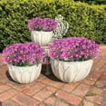 thumbnail image 5 of Morttic 6 Bundles Artificial Daisy Mums Flowers Outdoor Fake Fall Flowers for Decoration Garden Porch Window Box Decor（Fuchsia）, 5 of 7