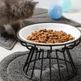 thumbnail image 2 of BESTSKY Cat Bowls,Dishwasher Safe Cat Food and Water Bowl,Neck-Comfortable Height Cat Dishes, 2 of 4