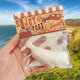 thumbnail image 3 of Juguete de descompresión de barro sensorial súper suave | Alivio del estrés Fidget inspirado en la comida | Pellizca para poner música relajante | Exprimido táctil blando | Ayuda de relajación para, 3 of 5