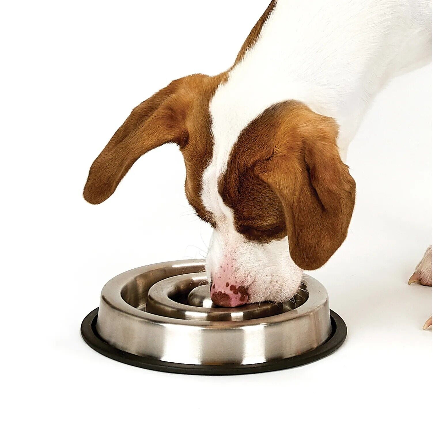 Stainless Steel Heavy Duty Slow Feeder Dog Bowls Anti Slip 2 Sizes Available (Small)