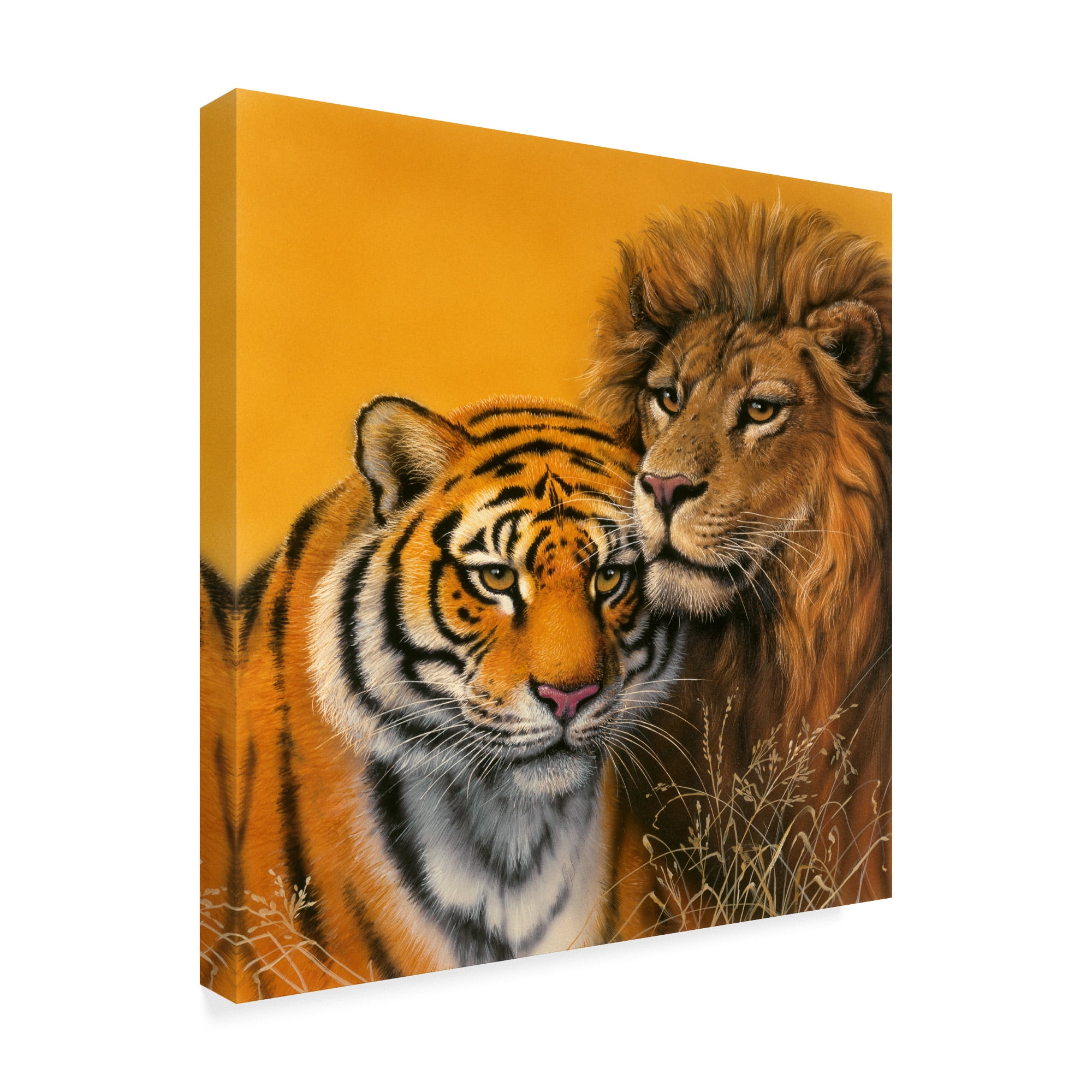 Trademark Fine Art Lion Tiger Canvas Art - Wildlife Portrait