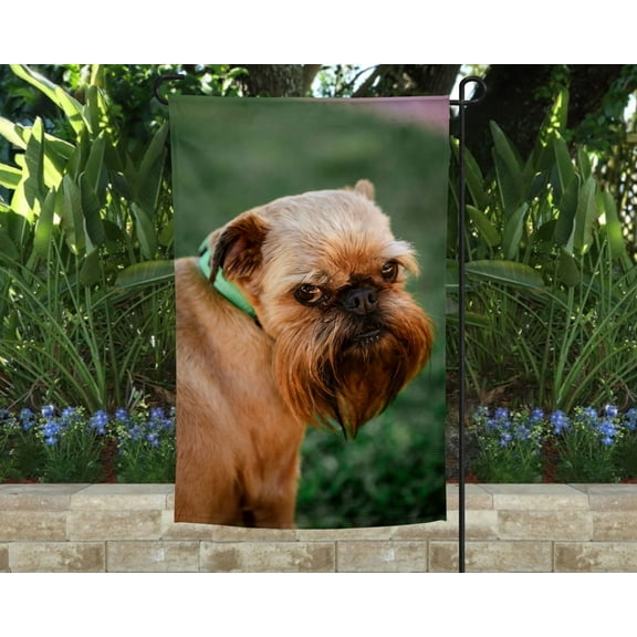 Brussels Griffon Garden Flag
