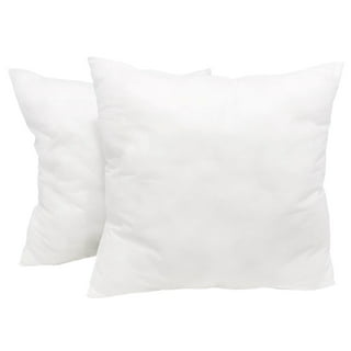 QSWRD 18 x 18 Pillow Inserts Set of 2 Outdoor Pillow Inserts Waterproof  Square Premium Throw Pillow Inserts Decorative Couch Pillow Inserts White  Sofa