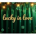 thumbnail image 4 of St Patrick's Day Celebration Lucky Love Four Leaf Clover Backdrop Banner Party Supplies Photography Props Decorations Wedding, 4 of 8