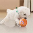 thumbnail image 2 of Pelota Eléctrica Smart PetToys, Pelota Automática para Saltar, Pelota Interactiva, Juguete para Cachorros o Gatitos en Movimiento y Recargable, 2 of 6