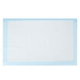 thumbnail image 3 of HLONK Disposable Bed Pads with Heavy Absorbency  10 Pcs Soft Gentle Underpads for  Elderly  Maternity  Baby  Incontinence Protection  Gentle on Skin  Easy to Clean  Quick Absorbent Soft a, 3 of 9