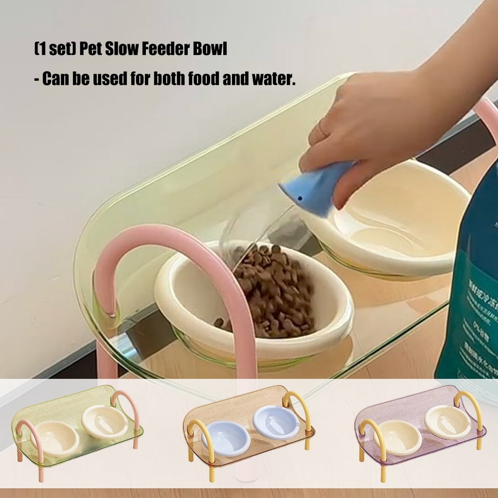 AntiSlip Elevated Pet Slow Feeder Double Bowl Detachable Design Feeding Watering Bowl For Small Breeds Cats Essential