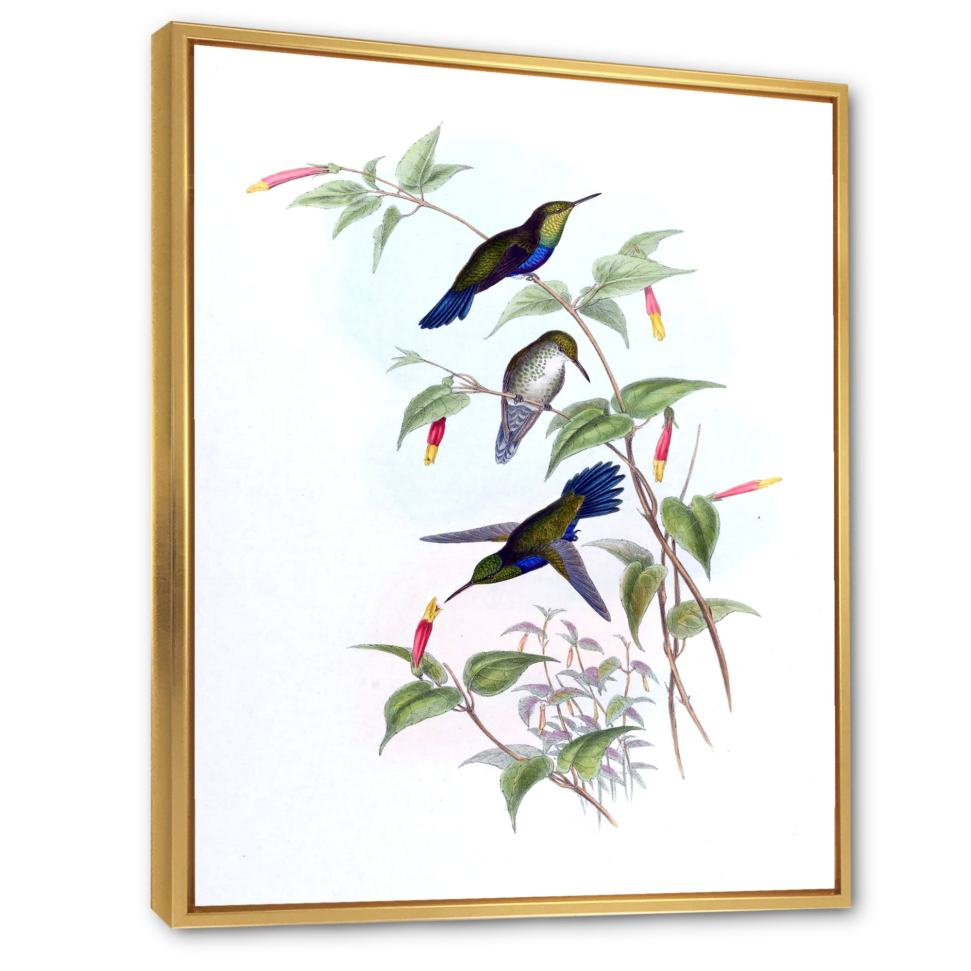 Designart 'Ancient Hummingbird I' Traditional Framed Canvas Wall Art Print
