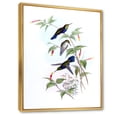 thumbnail image 3 of Designart 'Ancient Hummingbird I' Traditional Framed Canvas Wall Art Print, 3 of 5