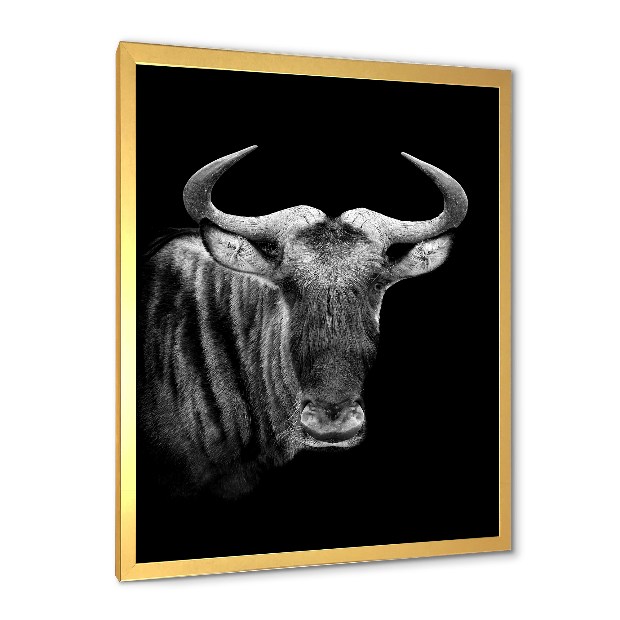 Designart 'Black and White Portrait Of Wildebeest' Farmhouse Framed Art Print
