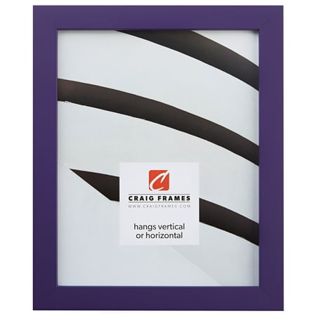 Craig Frames Confetti, 8 x 10 Inch Picture Frame, Purple