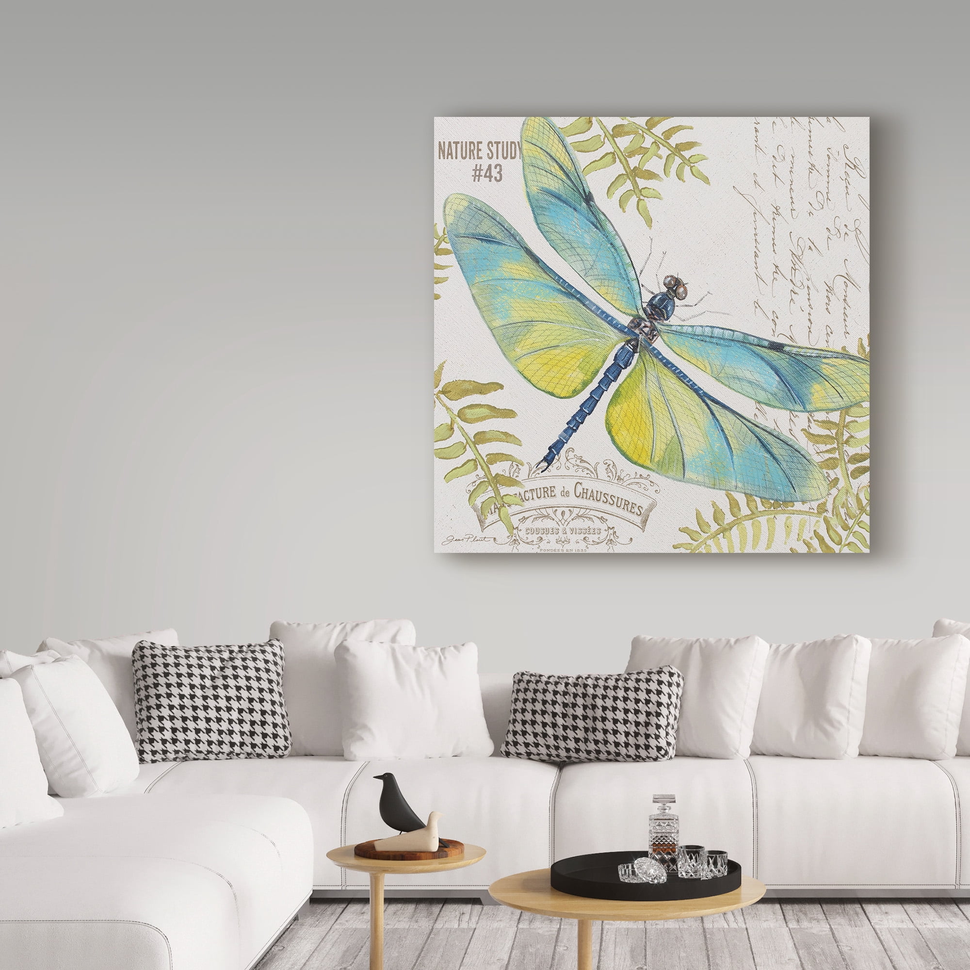 Trademark Fine Art 'Botanical Dragonfly 2' Canvas Art by Jean Plout