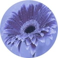 thumbnail image 1 of Ahgly Company Tapis Rond Lavable en Machine Intérieur Transitionnel Bleu Ardoise, 4 Pieds Rond, 1 of 7