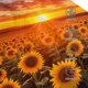 thumbnail image 3 of Fotbe Sunset Golden Sunflower Field Gorro Clásico de Béisbol, Gorra Ajustable con Broche Snapback, Gorro de Exterior de Algodón Suave, 3 of 6