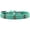 Aqua, variant on Mirage Pet Products Bronze Anchor Widget Dog Collar