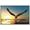 WHITE, variant on wall26 - Framed Canvas Prints Wall Art - Bald Eagle Flying Above The Sea | Modern Wall Decor/Home Decoration Stretched Gallery Framed Canvas Wrap Giclee Print. Ready to Hang - 16"x24" White