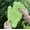 I, variant on Microfiber Dusting Gloves - 2 Pairs, One Size Fits All, Stretchy and Breathable Cleaning Gloves for Cars, Boats, RVs, Pools, and Home Surfaces