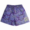 thumbnail image 4 of Anime Shorts Men Women 3D Manga Cartoon Print Gym Shorts Quick Dry Mesh Summer Short Pants for Youth to Jogging Fitness Beach, 4 of 4
