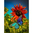 thumbnail image 1 of Wdftyju Diamante pintura 5D flor mariposa DIY taladro redondo completo mosaico (L3141) Wdftyju 7cw0xz0fv8gq4zk9D08, 1 of 9