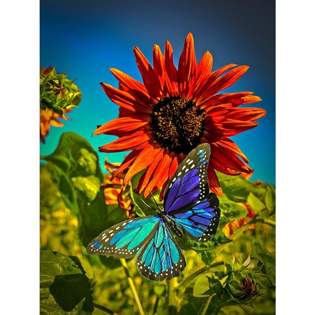 Wdftyju Diamante pintura 5D flor mariposa DIY taladro redondo completo mosaico (L3141) Wdftyju 7cw0xz0fv8gq4zk9D08