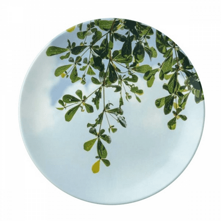 

green blue sky plate decorative porcelain salver tableware dinner dish