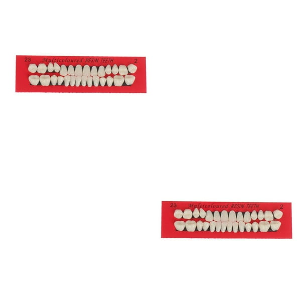 Vogacara 28 unids/set modelo de de resina dentaduras duraderas postizos universales Resi No.1 2piezas