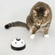 thumbnail image 5 of Dispositivo de entrenamiento con botón para mascotas | Herramienta de comunicación para perros y gatos | Dispositivo interactivo de entrenamiento con pulsación de pata para recordar ir al baño, 5 of 5