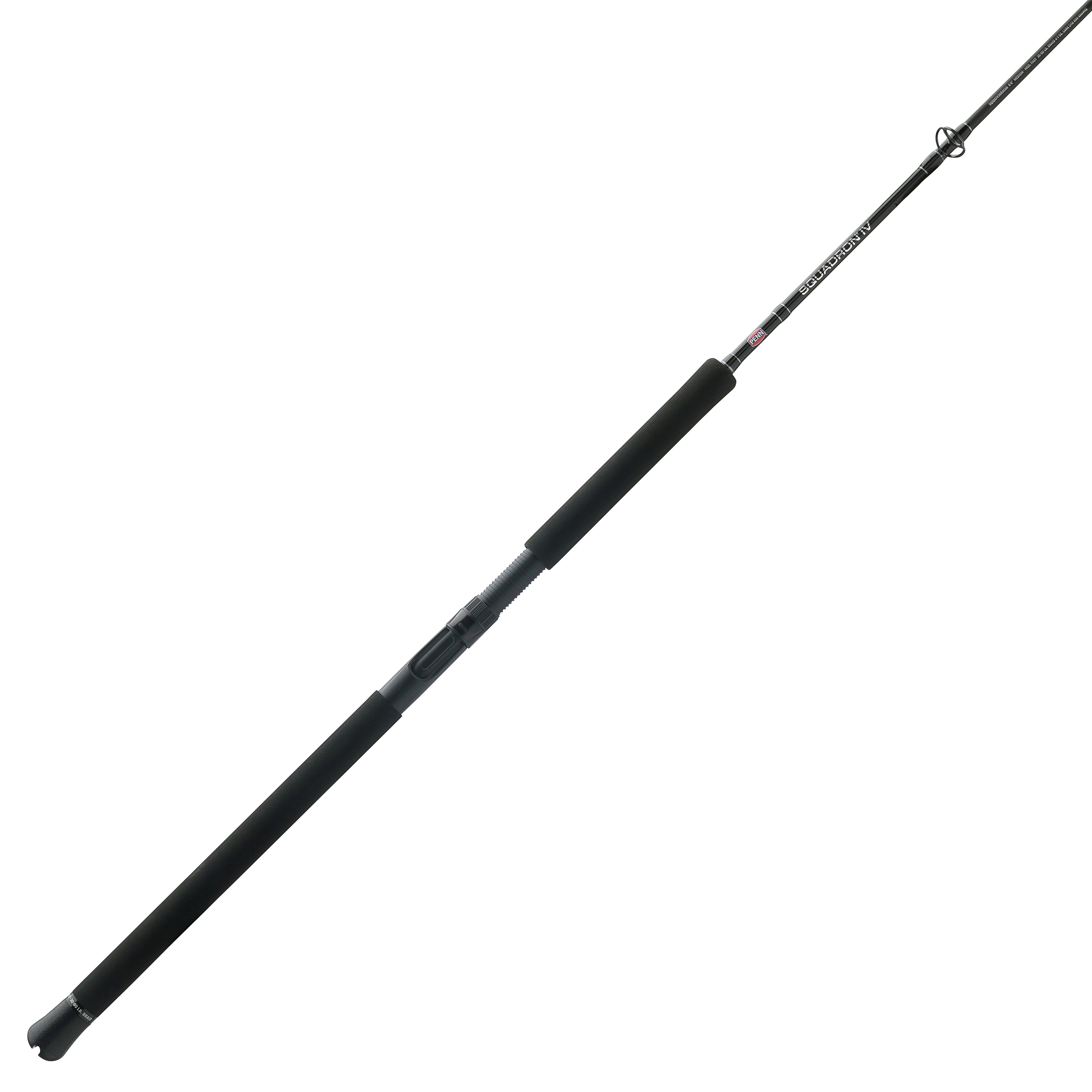 PENN Squadron IV Jig Casting Fishing Rod, 6'6" Medium