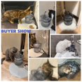 thumbnail image 5 of Cat Water Fountain, Dog Water Dispenser, 2L Super Quiet Automatic Pet Drinking Fountain 2 Water Flow Modes for Cats, Dogs, Multiple Pets, 5 of 5