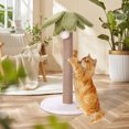 thumbnail image 2 of 20" Tall Cat Scratching Post Tree Indoor Cat Post with Sturdy Natural Sisal, 2 of 9