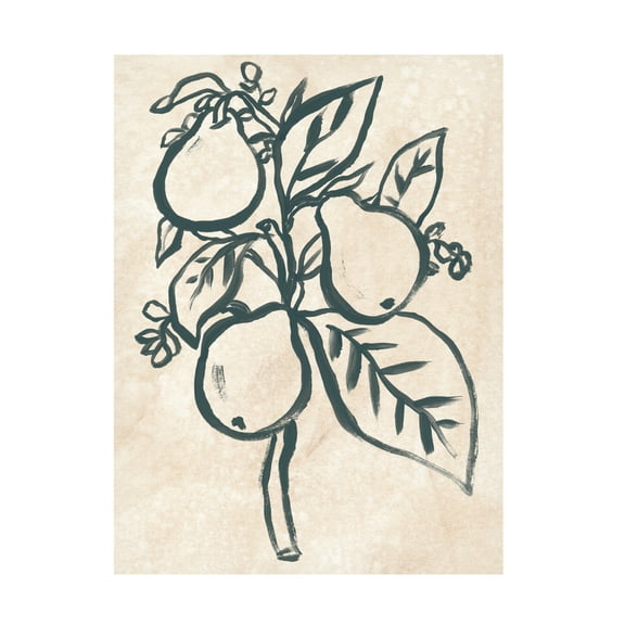 Trademark Fine Art June Erica Vess  Ink Pear Branch II Canvas Wall Art